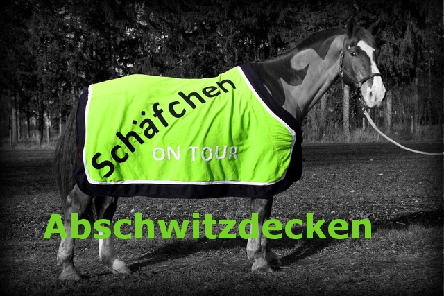 Abschwitzdecken neu klein